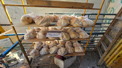 Pain Palestinien pour 20 personnes